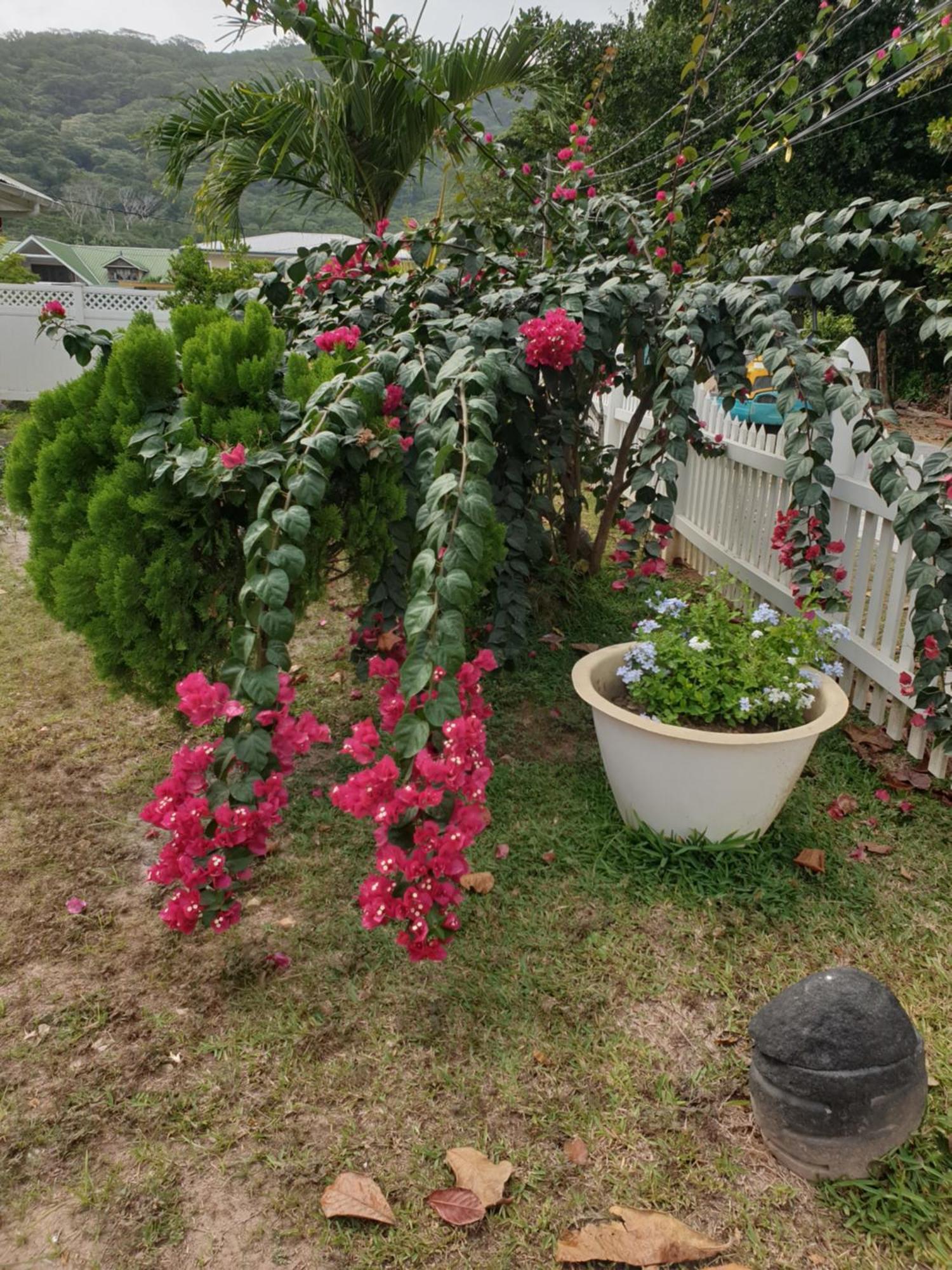 빌라 오테티크 라디게 외부 사진